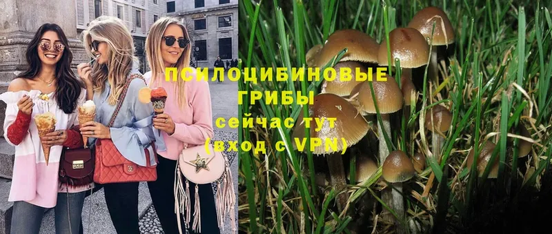 даркнет телеграм  наркошоп  Николаевск-на-Амуре  Псилоцибиновые грибы Magic Shrooms 